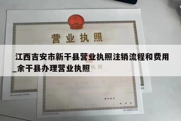  江西吉安市新干县营业执照注销流程和费用_余干县办理营业执照