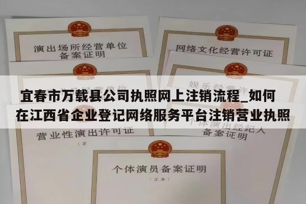  宜春市万载县公司执照网上注销流程_如何在江西省企业登记网络服务平台注销营业执照