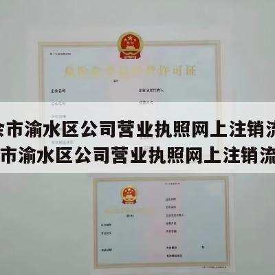  新余市渝水区公司营业执照网上注销流程_新余市渝水区公司营业执照网上注销流程图