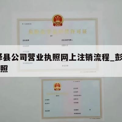  彭泽县公司营业执照网上注销流程_彭州营业执照