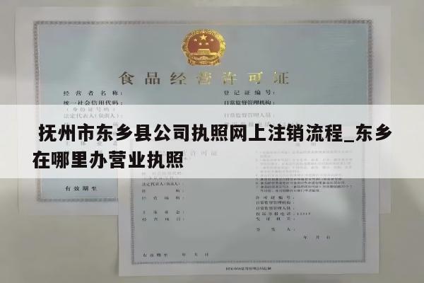  抚州市东乡县公司执照网上注销流程_东乡在哪里办营业执照