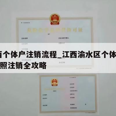  江西个体户注销流程_江西渝水区个体工商户执照注销全攻略