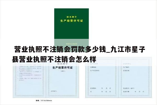  营业执照不注销会罚款多少钱_九江市星子县营业执照不注销会怎么样