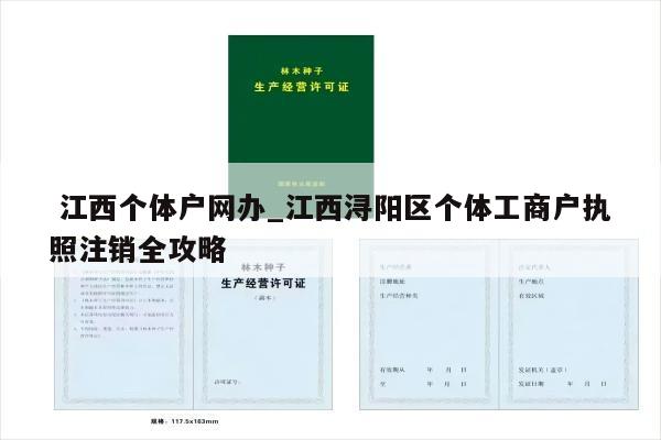  江西个体户网办_江西浔阳区个体工商户执照注销全攻略