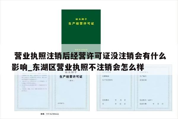  营业执照注销后经营许可证没注销会有什么影响_东湖区营业执照不注销会怎么样