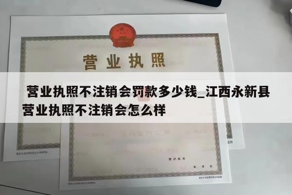  营业执照不注销会罚款多少钱_江西永新县营业执照不注销会怎么样