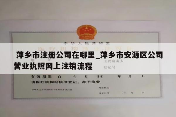  萍乡市注册公司在哪里_萍乡市安源区公司营业执照网上注销流程