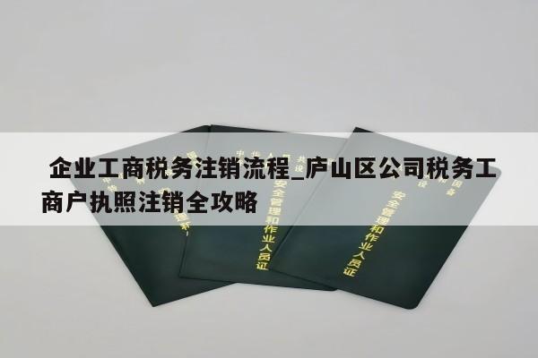  企业工商税务注销流程_庐山区公司税务工商户执照注销全攻略