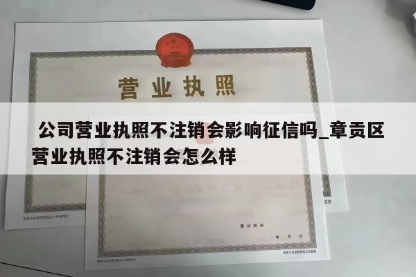  公司营业执照不注销会影响征信吗_章贡区营业执照不注销会怎么样