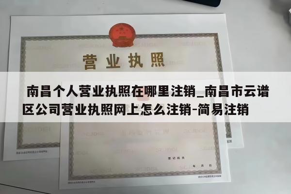 南昌个人营业执照在哪里注销_南昌市云谱区公司营业执照网上怎么注销-简易注销
