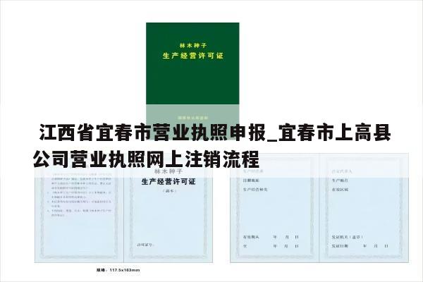  江西省宜春市营业执照申报_宜春市上高县公司营业执照网上注销流程