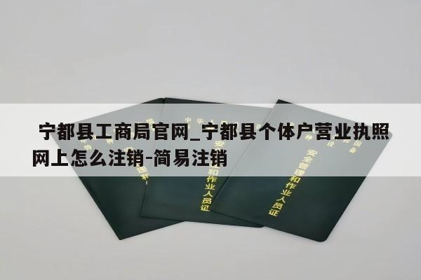  宁都县工商局官网_宁都县个体户营业执照网上怎么注销-简易注销