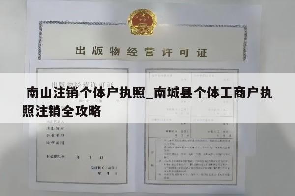  南山注销个体户执照_南城县个体工商户执照注销全攻略