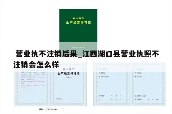  营业执不注销后果_江西湖口县营业执照不注销会怎么样