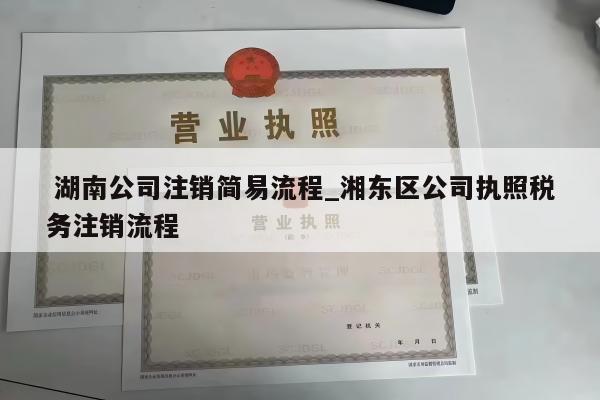  湖南公司注销简易流程_湘东区公司执照税务注销流程