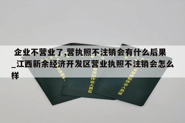  企业不营业了,营执照不注销会有什么后果_江西新余经济开发区营业执照不注销会怎么样