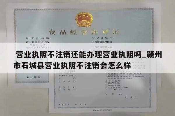  营业执照不注销还能办理营业执照吗_赣州市石城县营业执照不注销会怎么样