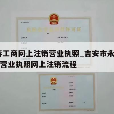  宜春工商网上注销营业执照_吉安市永新县公司营业执照网上注销流程