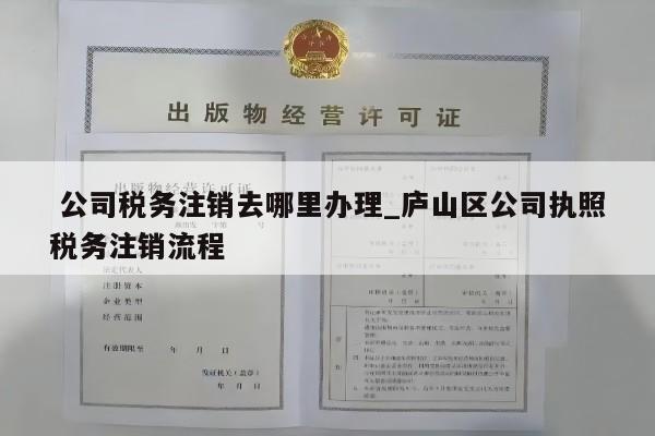  公司税务注销去哪里办理_庐山区公司执照税务注销流程