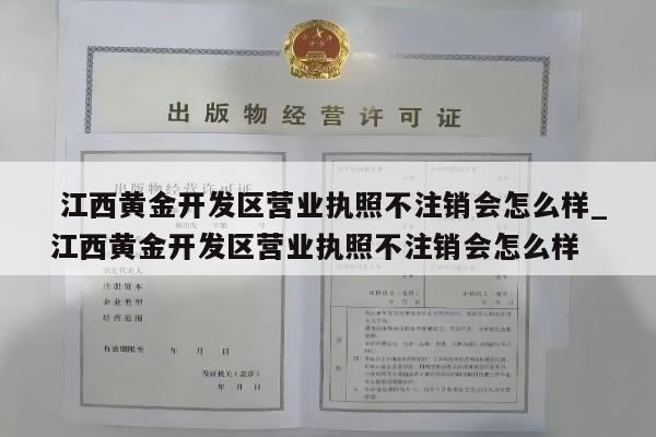  江西黄金开发区营业执照不注销会怎么样_江西黄金开发区营业执照不注销会怎么样