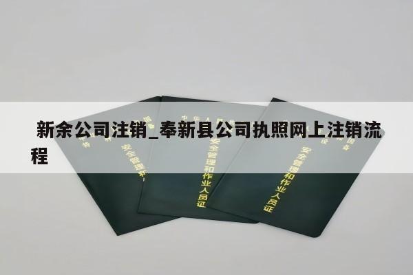  新余公司注销_奉新县公司执照网上注销流程