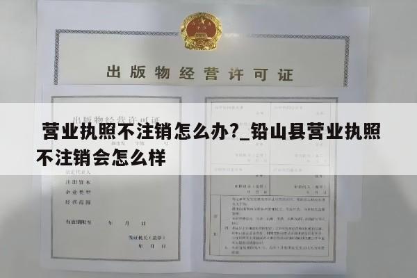  营业执照不注销怎么办?_铅山县营业执照不注销会怎么样