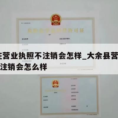  现在营业执照不注销会怎样_大余县营业执照不注销会怎么样