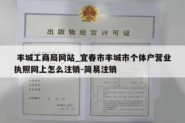  丰城工商局网站_宜春市丰城市个体户营业执照网上怎么注销-简易注销