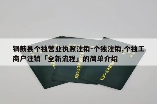 铜鼓县个独营业执照注销-个独注销,个独工商户注销「全新流程」的简单介绍
