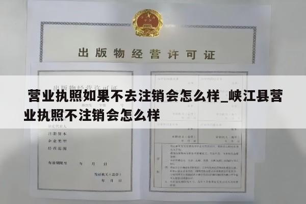  营业执照如果不去注销会怎么样_峡江县营业执照不注销会怎么样