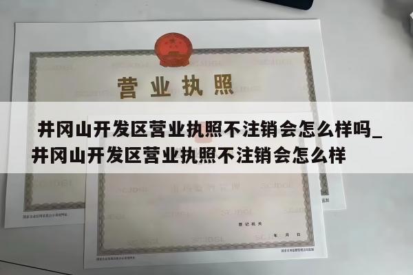  井冈山开发区营业执照不注销会怎么样吗_井冈山开发区营业执照不注销会怎么样
