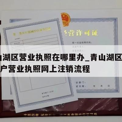  青山湖区营业执照在哪里办_青山湖区个体工商户营业执照网上注销流程