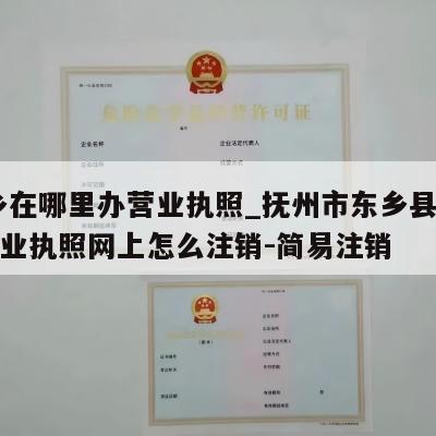  东乡在哪里办营业执照_抚州市东乡县个体户营业执照网上怎么注销-简易注销