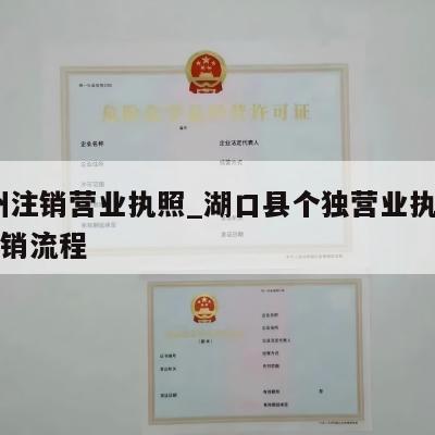  湖州注销营业执照_湖口县个独营业执照网上注销流程