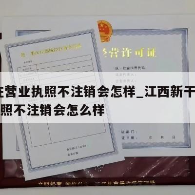  现在营业执照不注销会怎样_江西新干县营业执照不注销会怎么样