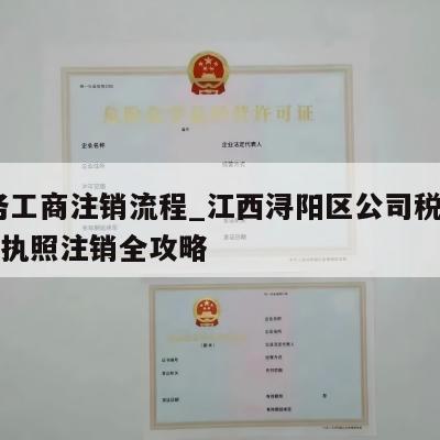  税务工商注销流程_江西浔阳区公司税务工商户执照注销全攻略