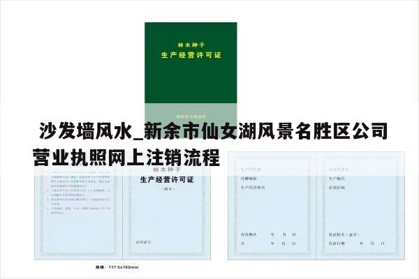  沙发墙风水_新余市仙女湖风景名胜区公司营业执照网上注销流程