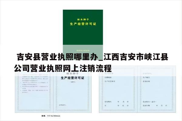  吉安县营业执照哪里办_江西吉安市峡江县公司营业执照网上注销流程