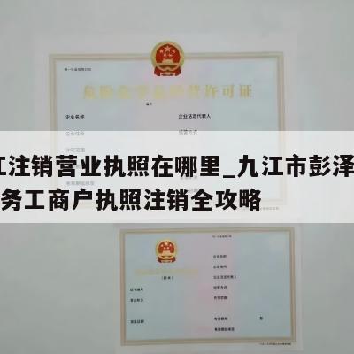  九江注销营业执照在哪里_九江市彭泽县公司税务工商户执照注销全攻略