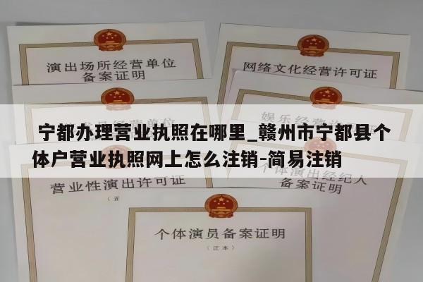  宁都办理营业执照在哪里_赣州市宁都县个体户营业执照网上怎么注销-简易注销
