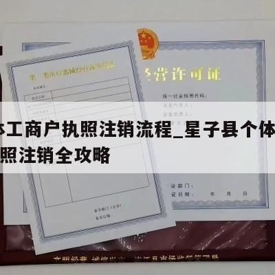  个体工商户执照注销流程_星子县个体工商户执照注销全攻略