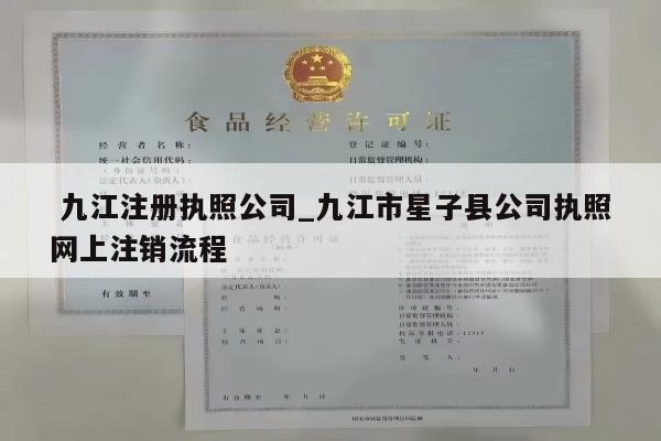  九江注册执照公司_九江市星子县公司执照网上注销流程