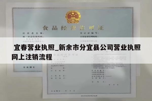  宜春营业执照_新余市分宜县公司营业执照网上注销流程