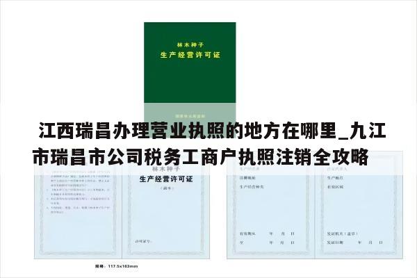  江西瑞昌办理营业执照的地方在哪里_九江市瑞昌市公司税务工商户执照注销全攻略