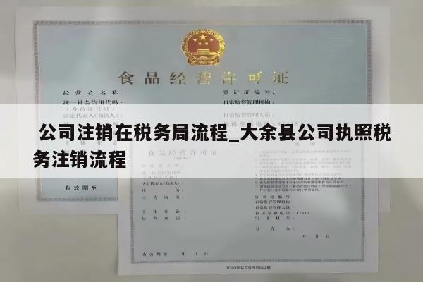  公司注销在税务局流程_大余县公司执照税务注销流程