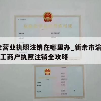  新余营业执照注销在哪里办_新余市渝水区公司工商户执照注销全攻略