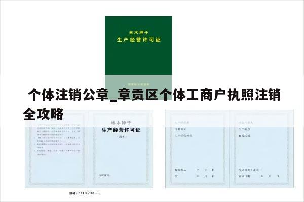 个体注销公章_章贡区个体工商户执照注销全攻略