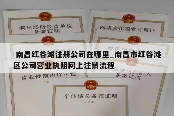  南昌红谷滩注册公司在哪里_南昌市红谷滩区公司营业执照网上注销流程