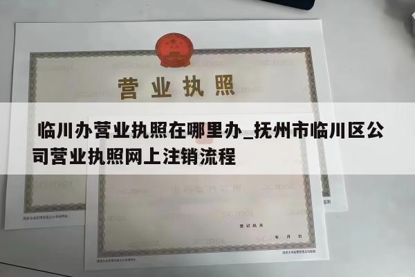  临川办营业执照在哪里办_抚州市临川区公司营业执照网上注销流程