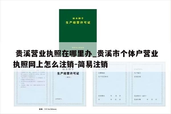  贵溪营业执照在哪里办_贵溪市个体户营业执照网上怎么注销-简易注销